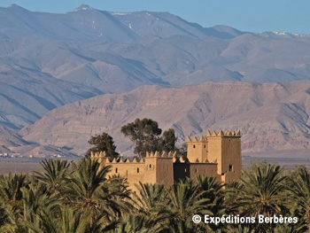 Kasbah dans la palmeraie de Soukra oasis vallee grand sud1 mini