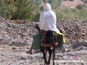 Les habitants dans la vallée du Draa oasis vallee grand sud5 mini