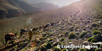 A la rencontre des nomades du Saghro jbel saghro1 mini