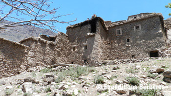 toubkal villages5 mini